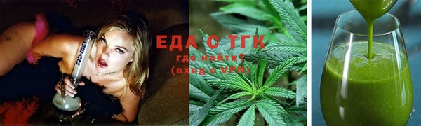 индика Алексин