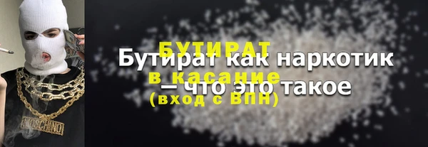 индика Алексин