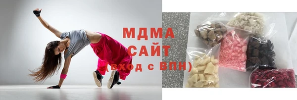индика Алексин