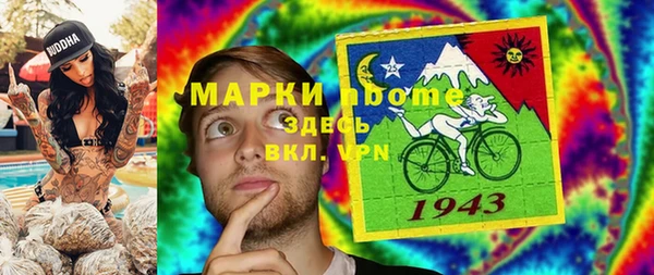 индика Алексин