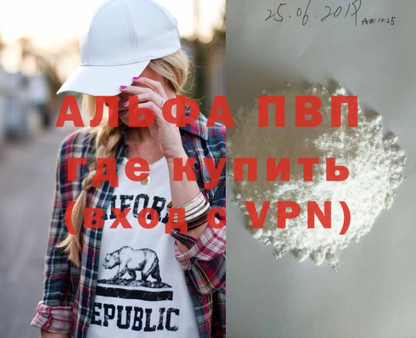 индика Алексин