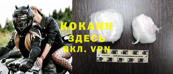 индика Алексин