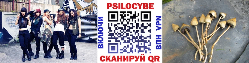 Псилоцибиновые грибы Psilocybe  darknet состав  Нытва  где продают наркотики 